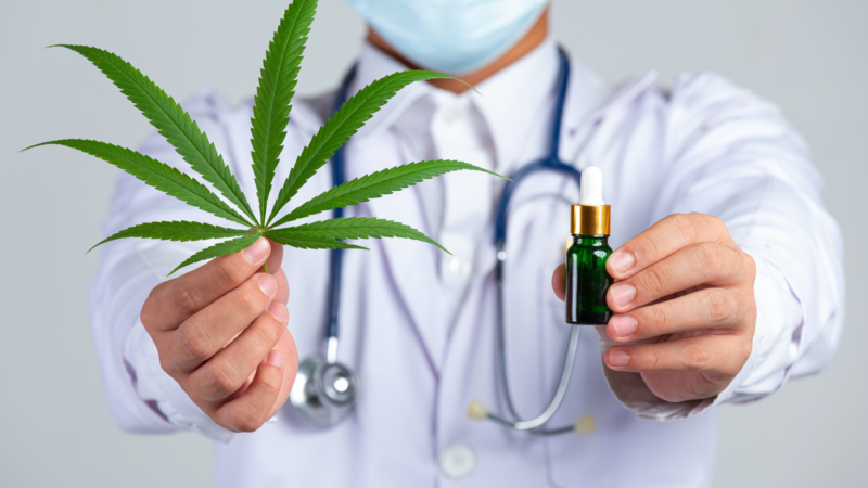 Medical Marijuana Physicians: Bridging the Gap Between Medicine and Holistic Wellness